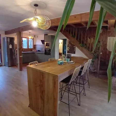 Le De Nino Sanguinet